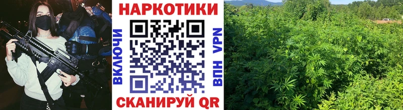 Что такое Змеиногорск Гашиш  МЕТАМФЕТАМИН  omg как войти  Марихуана  АМФ  Мефедрон 