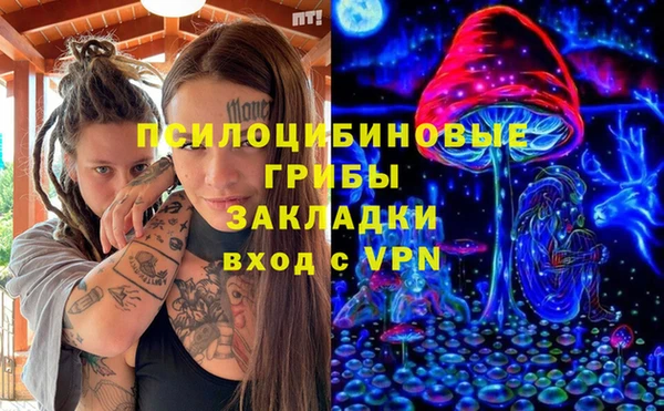 гидра Алексеевка