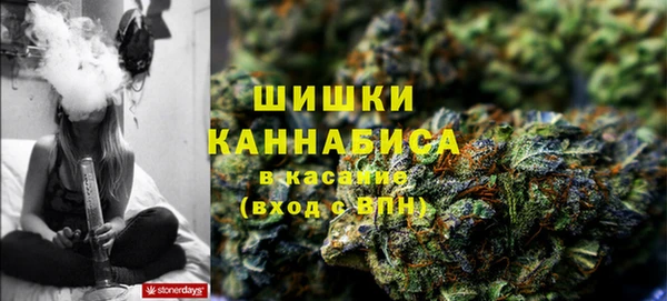 гидра Алексеевка